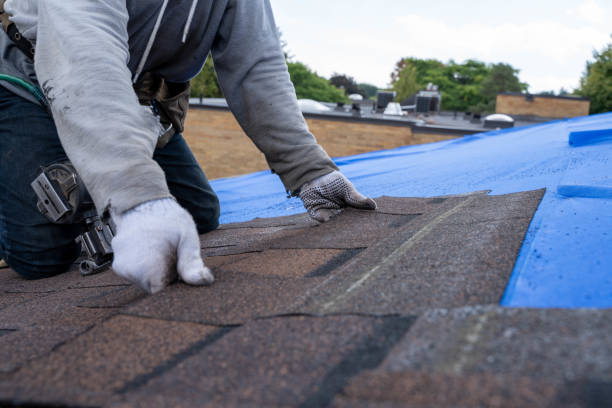 Best Roof Gutter Cleaning  in Progress Village, FL